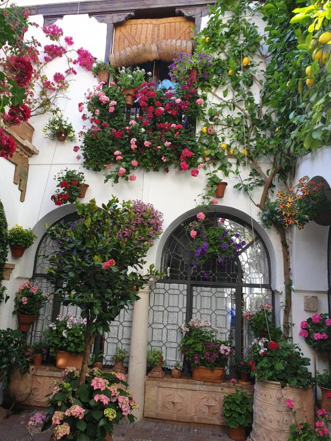 Apto. Planta Baja Y Cochera Barrio San Basilio Κόρδοβα Εξωτερικό φωτογραφία